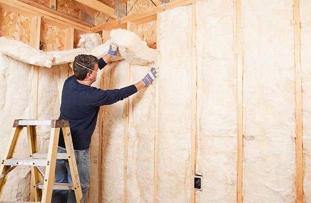 Best Eco-Friendly or Green Insulation Solutions  in Anchor Point, AK